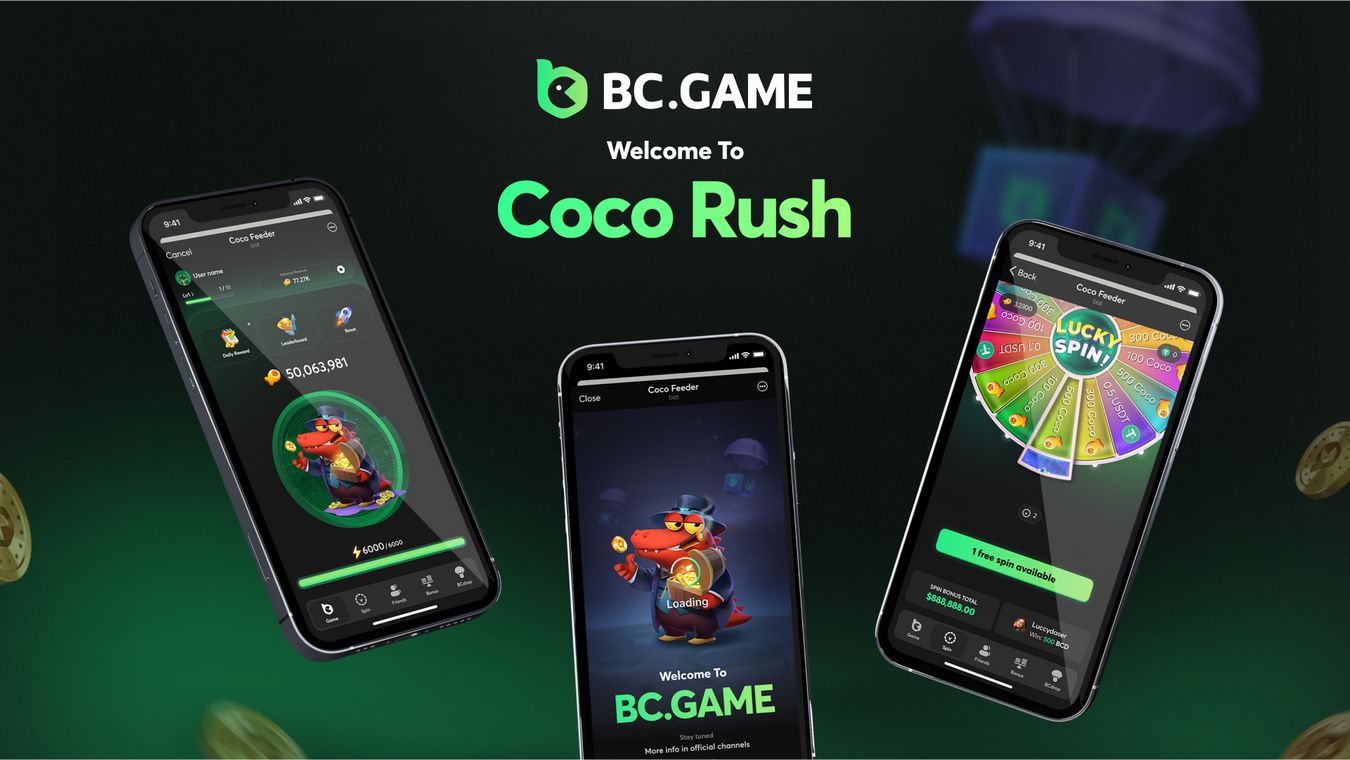 How to set up BC.Game application
